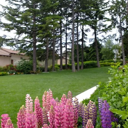 Hotel La Pineta 3*